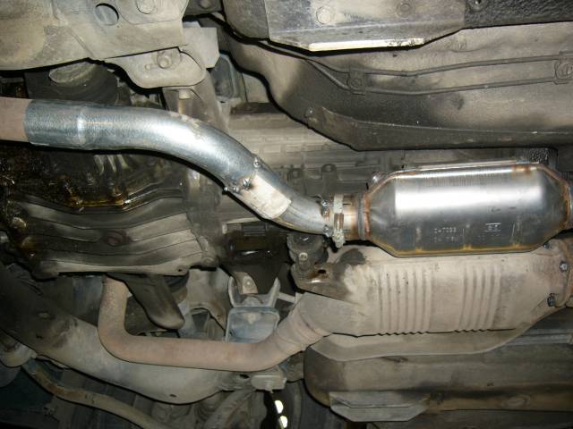 Audin katti hepattuna