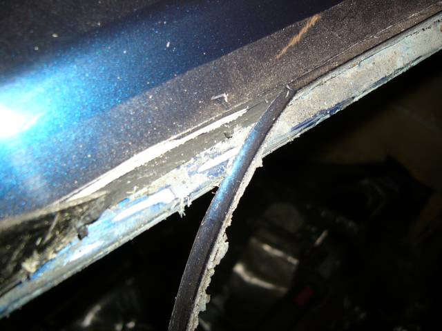 Sikamassan kuorintaa ovenreunasta